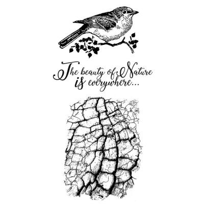Stamperia Rubber Stamps - Cosmos Bird